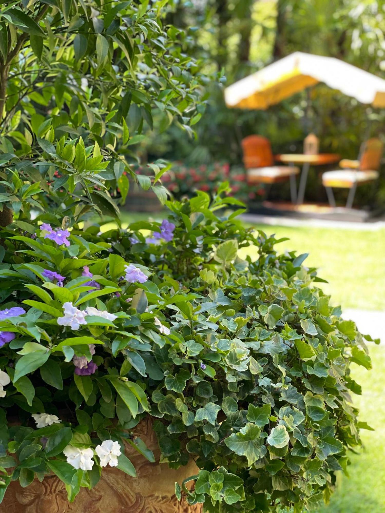 Hotel Palmira Kinderfreies 3*