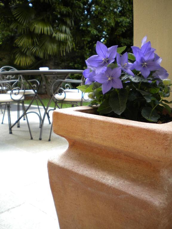 Hotel Palmira Kinderfreies Cannobio